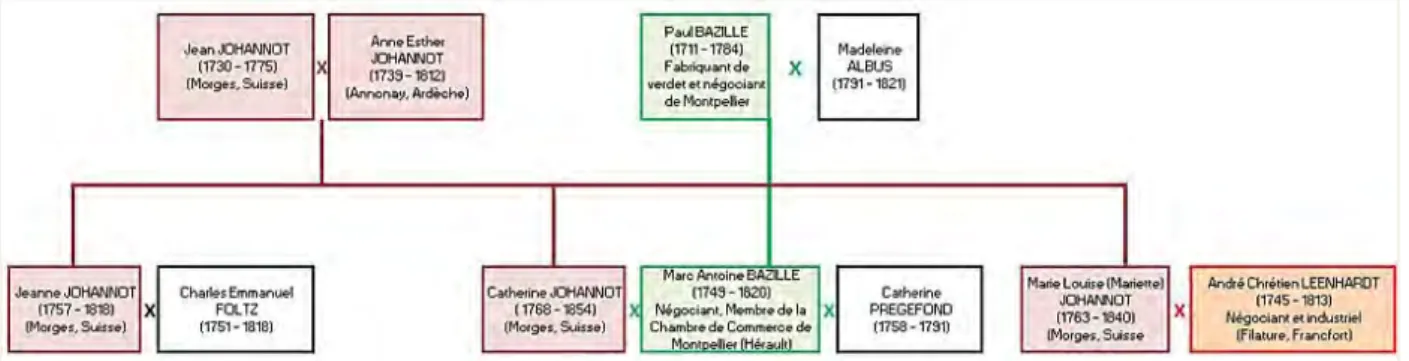 Figure 2 : Arbre de descendance des Johannot, réalisé d’après l’étude de Jean Gartner