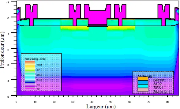 Figure 2.1 : Simulation du composant comportant les zones dopées caractéristiques  b)  Simulation électrique sous ATLAS : 