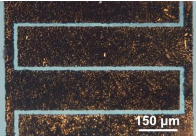 Figure II.3 A microscopic photo of a micro-supercapacitor prepared by EPD for electrochemical characterization