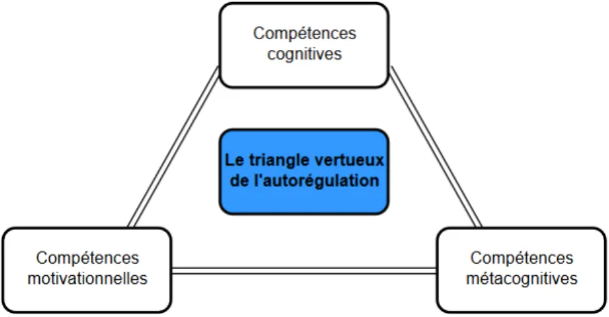 Figure 2 : Le triangle vertueux de l'autorégulation, d’après Cosnefroy (2011). 