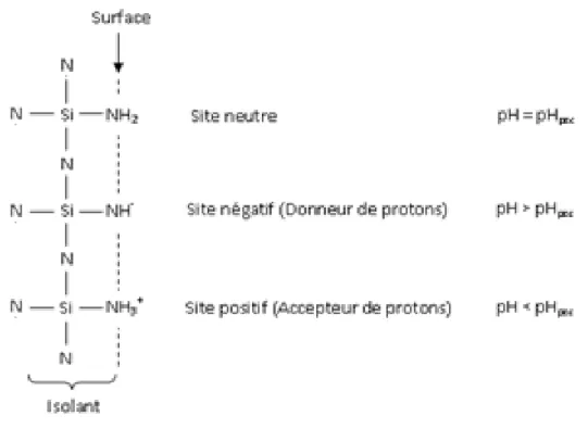 Figure 5: Schématisation des interactions chimiques à la surface du nitrure de silicium 