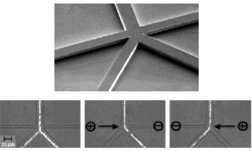 Figure  I.20.  Image  MEB  de  moule  en  silicium  de  microcanal  en  PDMS  de  tri  hydrodynamique  [54]