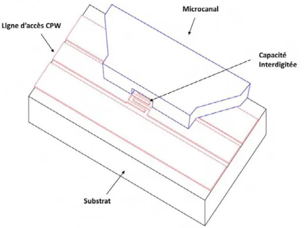 Figure II.7 Architecture du biocapteur muni de son micro-canal 
