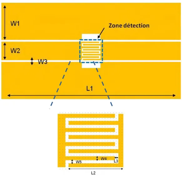 Figure II.9 Schéma du biocapteur HF avec un zoom pour la zone détection. 
