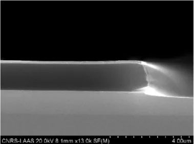 Figure II.22 : Image MEB présentant un délaminage de l’interface inférieure  AlOx/GaAs capable de provoquer une accélération de l’oxydation. 