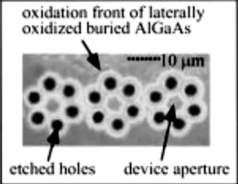 Figure III.1 : Image obtenue par microscopie optique d’une vue de dessus de la surface  d’une structure oxydée à travers les trous [1] 
