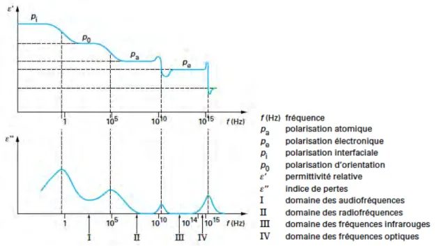 Figure 1.1: Réponse diélectrique des différents types de polarisation avec la fréquence [5].