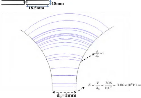 Figure II.29 Simulation des lignes de champs entre deux électrodes métalliques (d 0 =1mm)