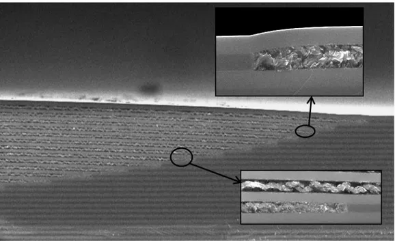 Figure 17 :  Oxydation des couches d’AlAsSb d’une structure VCSEL, à 420°C pendant 60 minutes