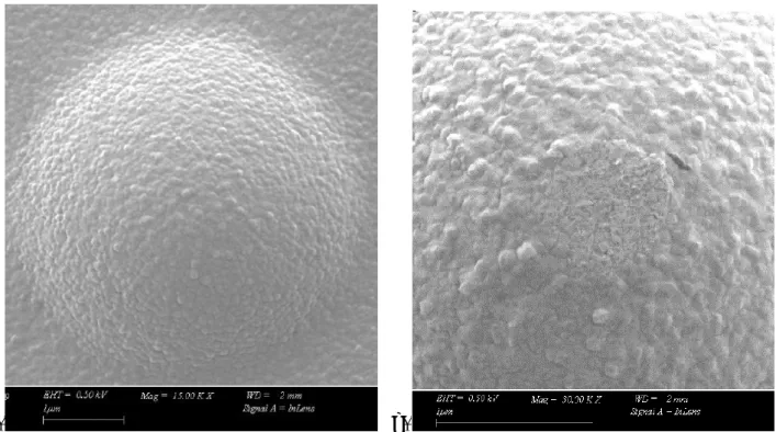 Figure 36 – Erosion d’une surface de contact en or a) plot de contact non-testé b) plot de contact  testé pendant 1000 cycles de 200µN [4] 