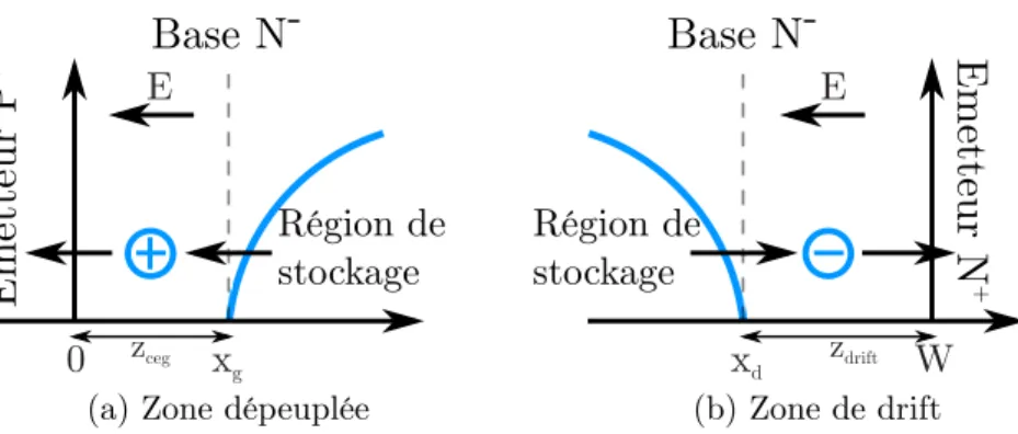 Figure 2.5 – Mécanisme de transport de charge dans la base large et faiblement dopée