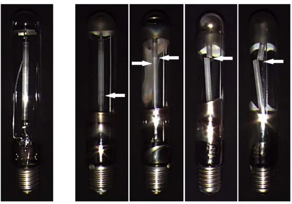 Figure 3.2 – Lampe sodium intacte aux côtés de plusieurs mêmes lampes détruites par les phénomènes acoustiques [ 1 ].