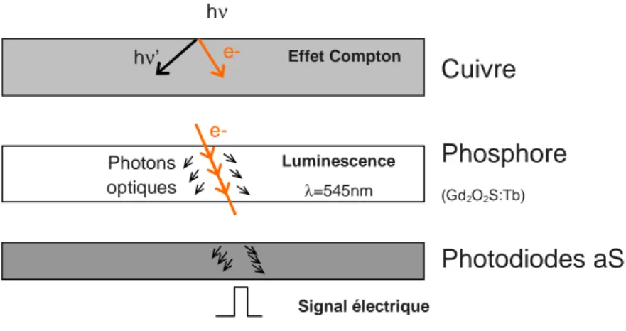 Figure  I.11:  Représentation  des  interactions  ayant  lieu  dans  les  principales  couches  de  l'EPID conduisant à la production d'un signal électrique 