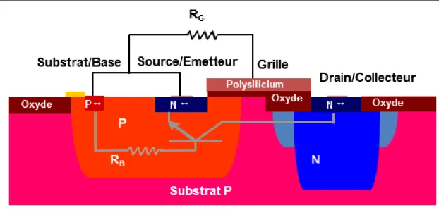 Figure 1.15 – Coupe technologique simplifiée d’un transistor N M OS utilisé comme protection