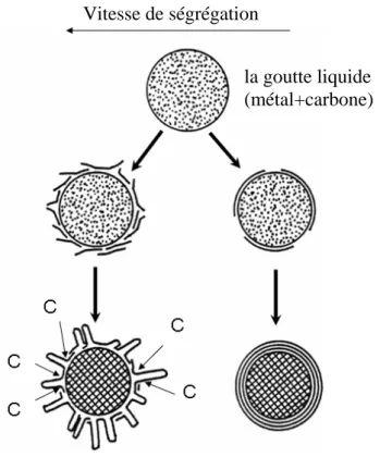 Figure 1-8- : le Modèle de croissance VLS proposé par Saito et al. 