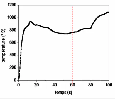 Figure 2-12 : évolution de la température au niveau de P2 pour une longue expérience (>1mn) 
