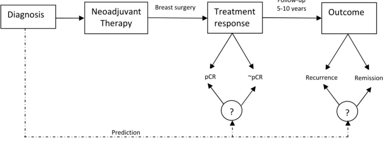 Fig. 1.4. Neoadjuvant setting for prediction of treatment benefit 