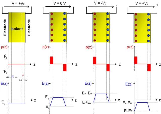Figure 1.8 : Configuration du champ électrique et de la répartition de charge dans un  isolant selon différentes polarisations