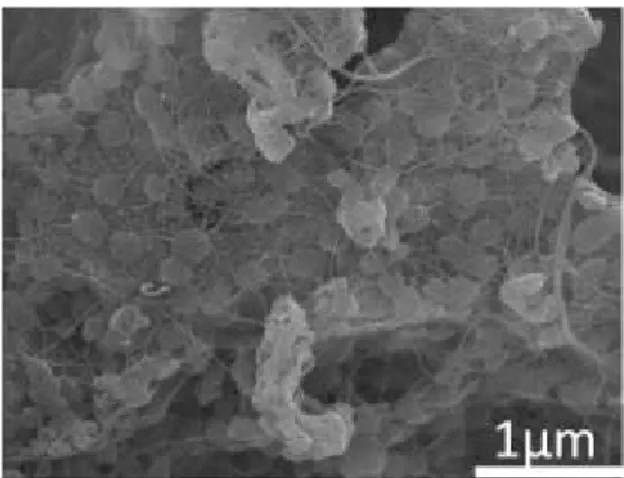 Figure 23 : NTC dans un composite à matrice  métallique (travaux de C. Guiderdoni doctorant 