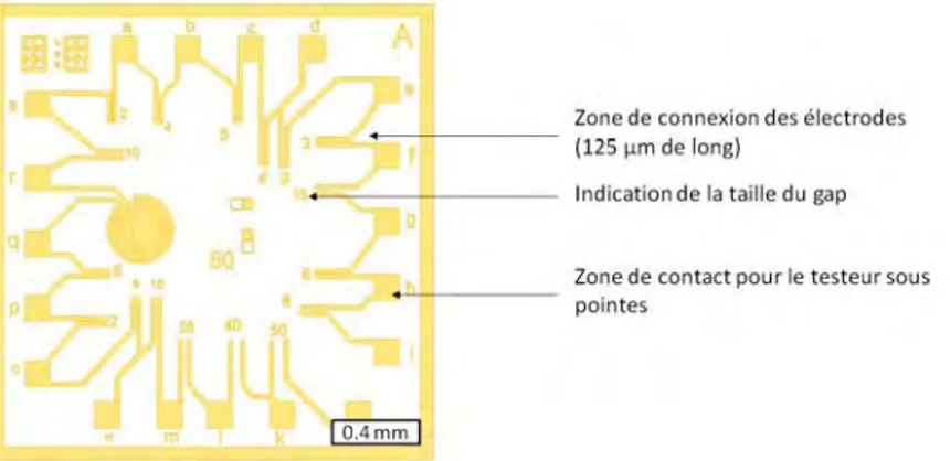 Figure 45 : Schéma d'une des unités de base de la structure de test utilisée pour ces expériences de  caractérisation électrique. 