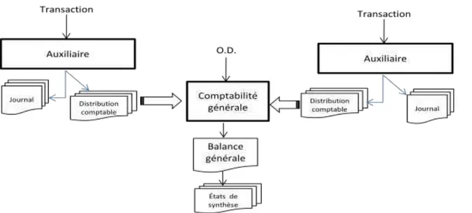 Figure N°2 :  Organisation des transactions et leurs distributions comptables. 
