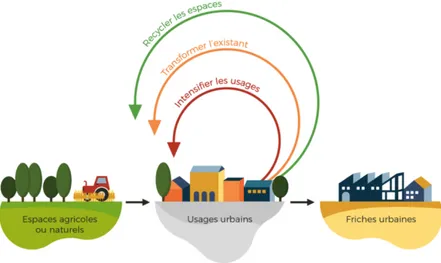 Figure 3  : Les principes de l’urbanisme circulaire   