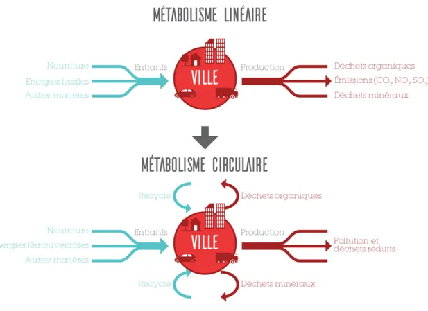 Figure 5  : Le métabolisme urbain au regard de la circulation de flux  Source  : ROBERS R