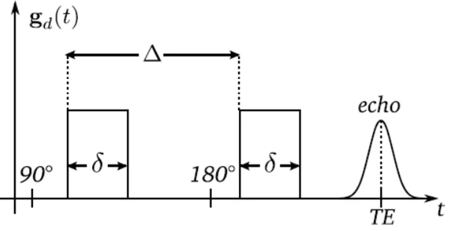 Figure 2.4: Diagramme de la séquence de Stejskal et Tanner. Spin Echo à gradient de champ 