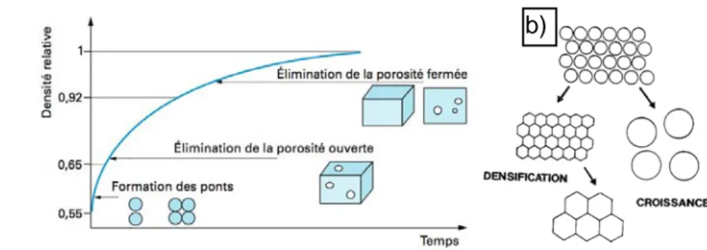 FIGURE I.17  : Frittage des céramiques  [Bern 05 ] ,  a)  Evolution de la densité relative au cours des étapes de 