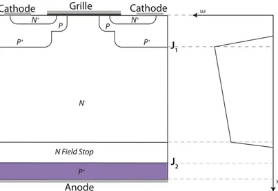 Figure 1.17 – structure IGBT Field Stop avec son champ électrique