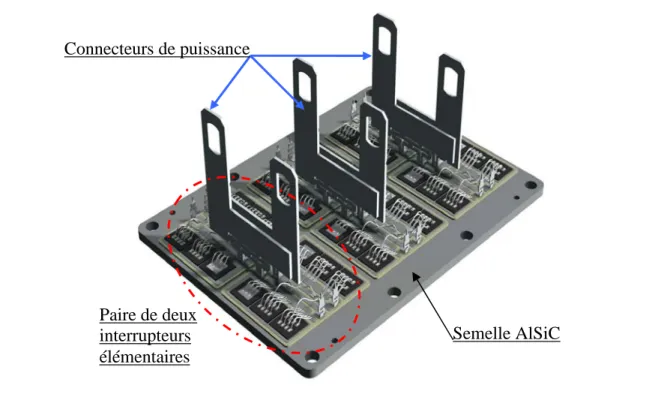 Fig 1.6 : Association parallèle des six interrupteurs élémentaires dans un module EUPEC  1