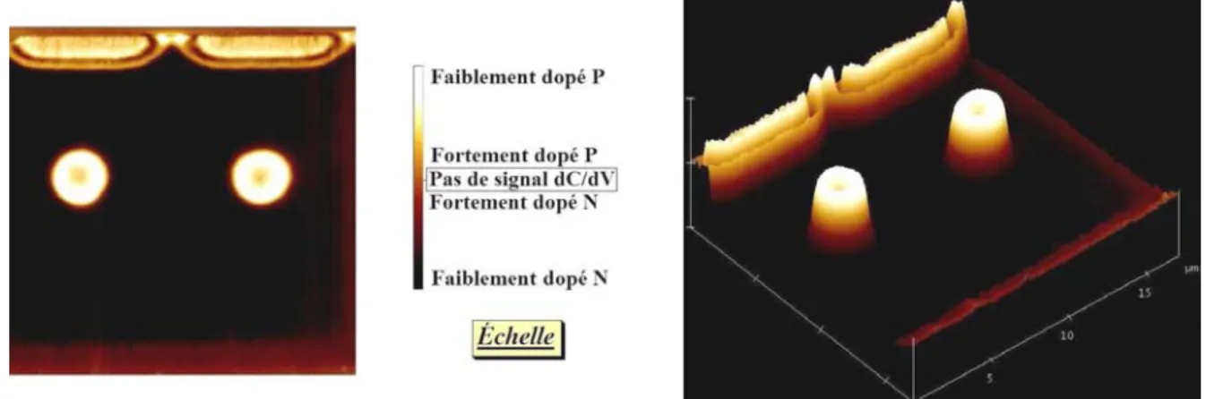 Figure II-26 : Image SCM (2D et 3D) de la cellule centrale du FLYMOS 200V avec  un niveau d’îlots flottants implanté à une dose de 4.10 12 cm -2 