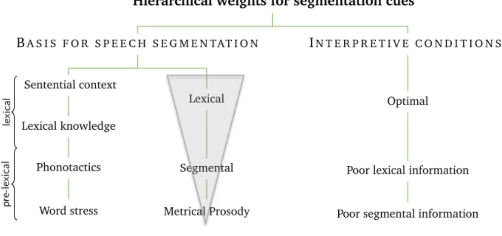 Figure 2.3: Mattys et al.