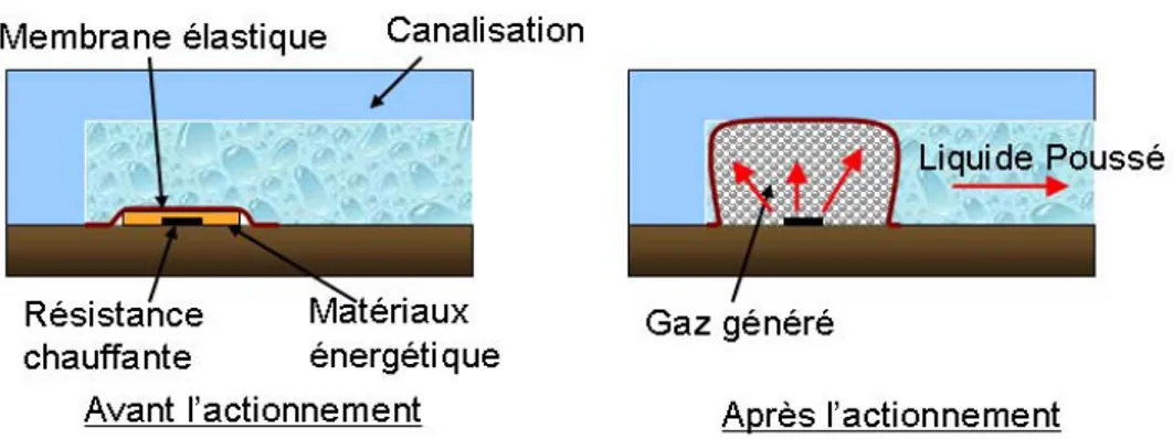 Figure 23. Principe de fonctionnement de l’actionneur, avant et après l’actionnement 