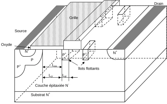 Figure II.19 : Structure FLIMOS latérale.  II.3.3.3. Paramètres de la structure FLIMOS 