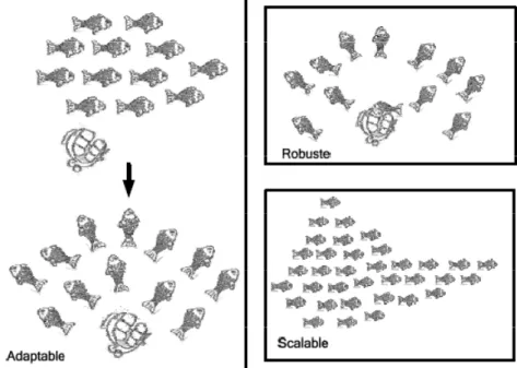 Figure 3: Exemple de système auto‐organisé, un banc de poisson 