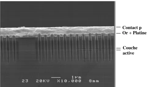 figure 4 :Image MEB de la coupe transversale d'un guide à CP permettant l'injection électrique