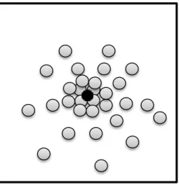 Figure 2 Représentation schématique de l’aimant perceptif du modèle NLM.  Le prototype est représenté en noir