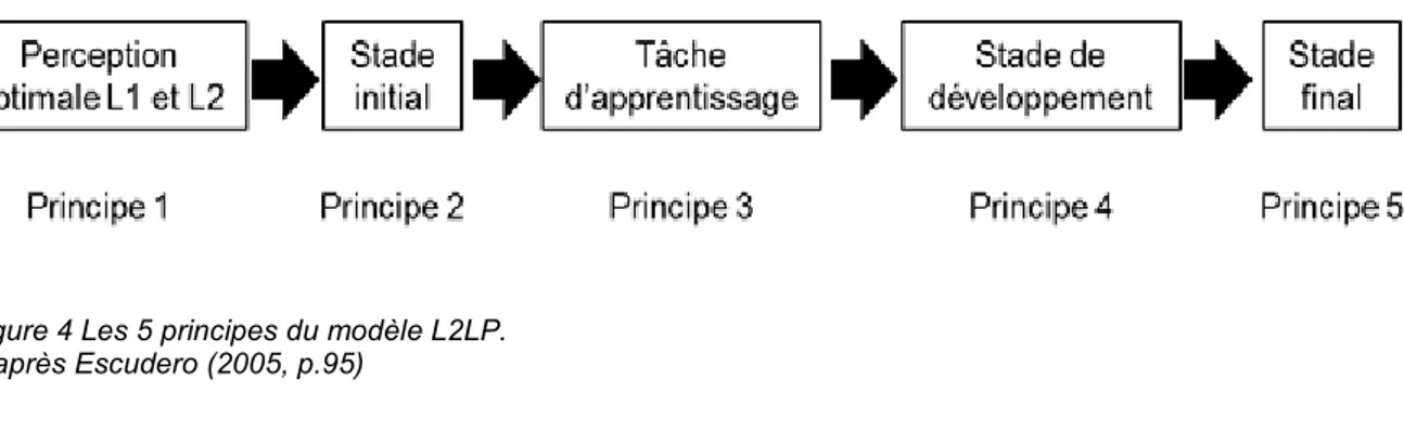 Figure 4 Les 5 principes du modèle L2LP.  D’après Escudero (2005, p.95) 
