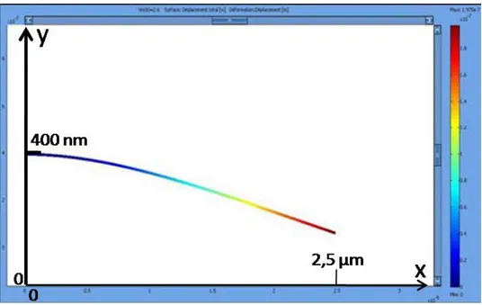 Figure 25 : résultat d’une simulation de flexion électrostatique sous COMSOL, de ce résultat on peut  extraire le déplacement sur l’axe y par rapport à la position x sur le nanotube. 