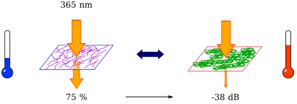 Fig. 1.7 – Sch´ ema d’interaction entre le pnipam et un faisceau optique. Pour T &lt; LCST , le pnipam est transparent et laisse passer la majorit´ e du signal lumineux
