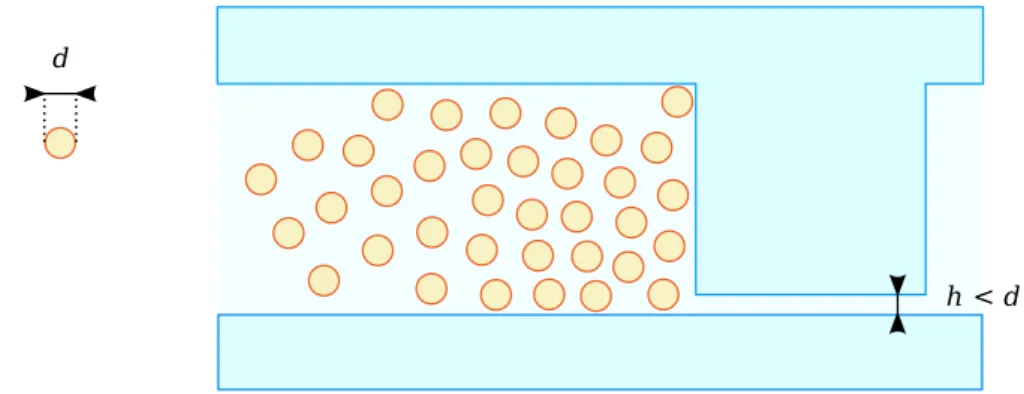 Fig. 2.2 – Sch´ ema de la g´ eom´ etrie du canal servant ` a pi´ eger les microbilles.
