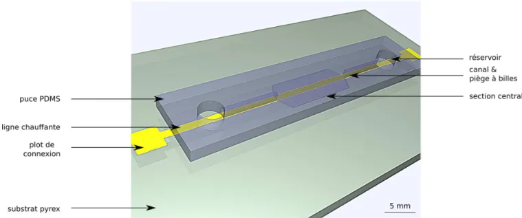 Fig. 2.3 – Vue d’ensemble 3D du dispositif, r´ ealis´ ee avec Blender.