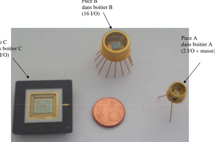 Figure 3.13 : Les trois puces montées dans les trois boitiers.  Puce A   dans boitier A   (2 I/O + masse) Puce B  dans boitier B (16 I/O) Puce C  dans boitier C  (68 I/O) 