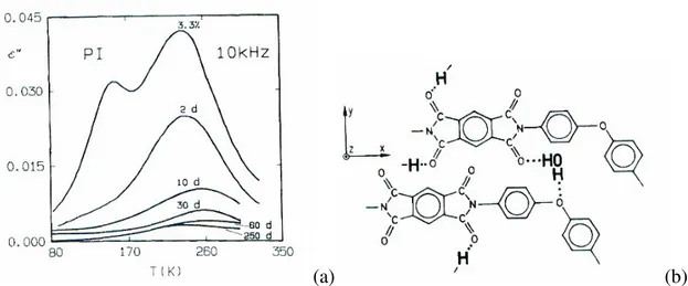 Figure I-7 : Influence de l’eau sur la permittivité du PI et sites “d’accroche” de l’eau par liaison  hydrogène (Melcher, 1989) 