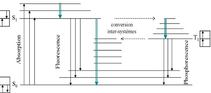 Figure 13. Transitions entre l'état fondamental S 0  et les deux premiers états excités S 1  et T 1 