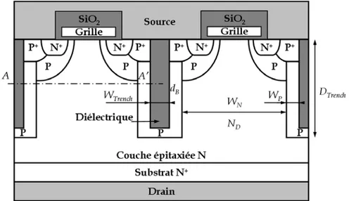 Figure II.11 : Coupe schématique d’une cellule élémentaire du transistor DT-SJMOS. 