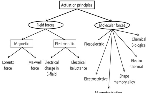 Figure 3.1.: Actuation methods divided into molecular forces and eld forces.