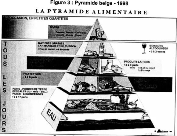 Figure 3 : Pyramide belge -1998 