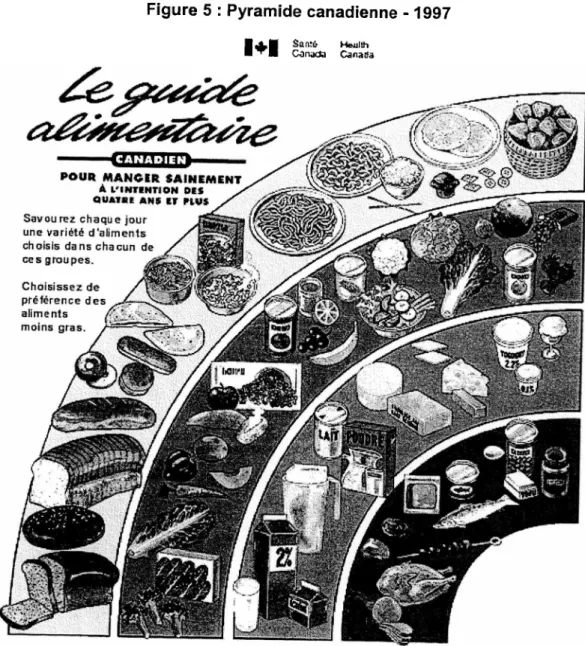 Figure 5 : Pyramide canadienne -1997